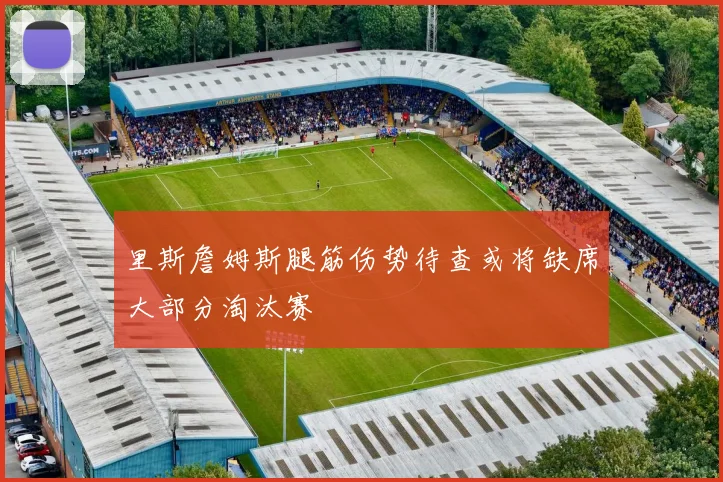 里斯詹姆斯腿筋伤势待查或将缺席大部分淘汰赛