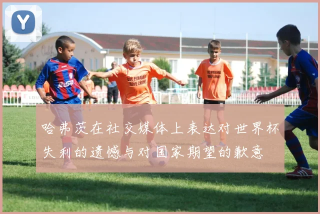 哈弗茨在社交媒体上表达对世界杯失利的遗憾与对国家期望的歉意