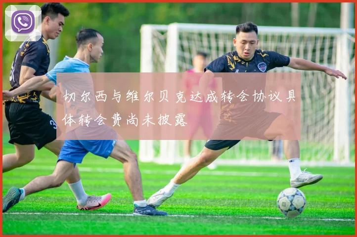 切尔西与维尔贝克达成转会协议具体转会费尚未披露